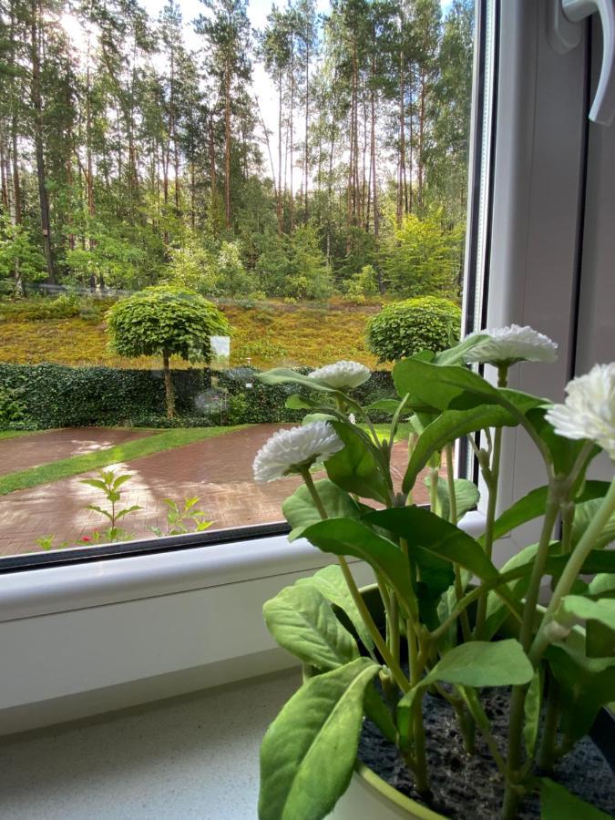 Lesny Apartament โอสทรึเซ ภายนอก รูปภาพ